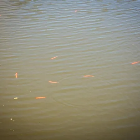 Prázdninový dům Zacisze I Giżycko